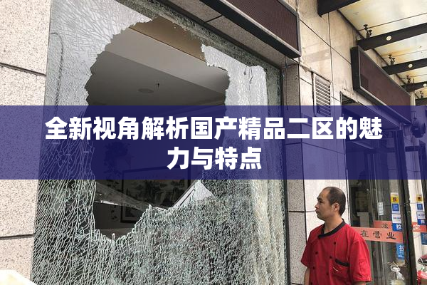 全新视角解析国产精品二区的魅力与特点