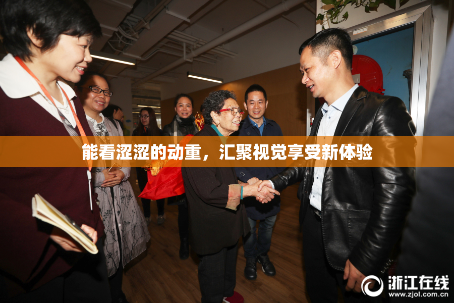 能看涩涩的动重，汇聚视觉享受新体验