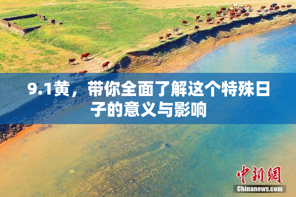 9.1黄，带你全面了解这个特殊日子的意义与影响