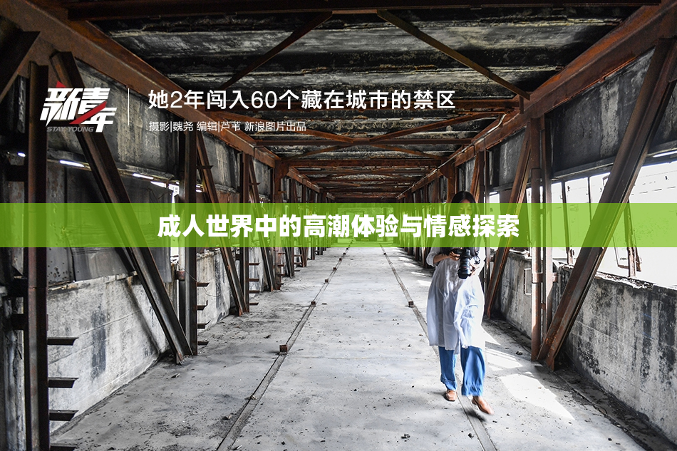 成人世界中的高潮体验与情感探索