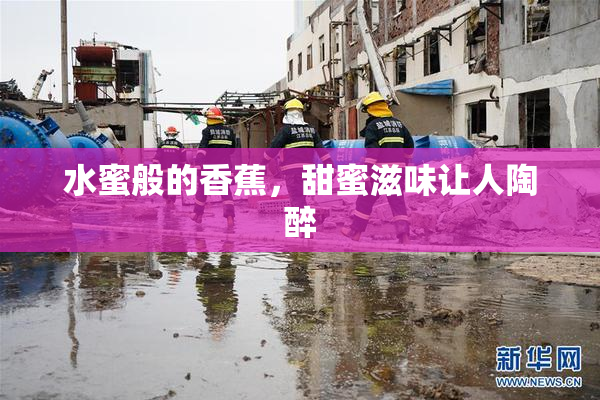 水蜜般的香蕉，甜蜜滋味让人陶醉