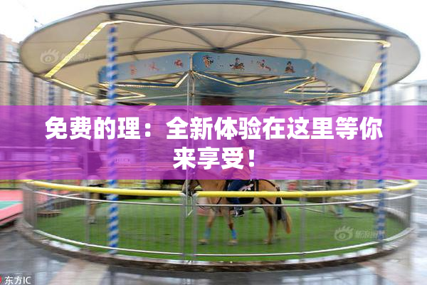 免费的理：全新体验在这里等你来享受！
