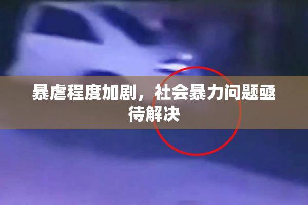 暴虐程度加剧，社会暴力问题亟待解决