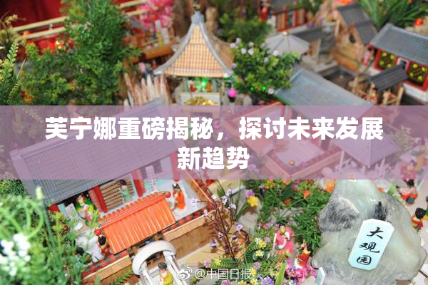 芙宁娜重磅揭秘，探讨未来发展新趋势