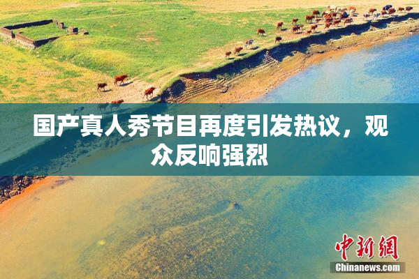 国产真人秀节目再度引发热议，观众反响强烈