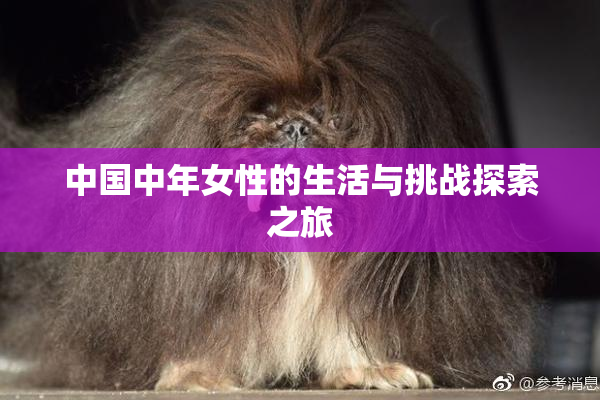中国中年女性的生活与挑战探索之旅