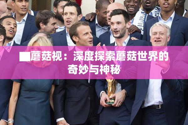 ▇蘑菇视：深度探索蘑菇世界的奇妙与神秘