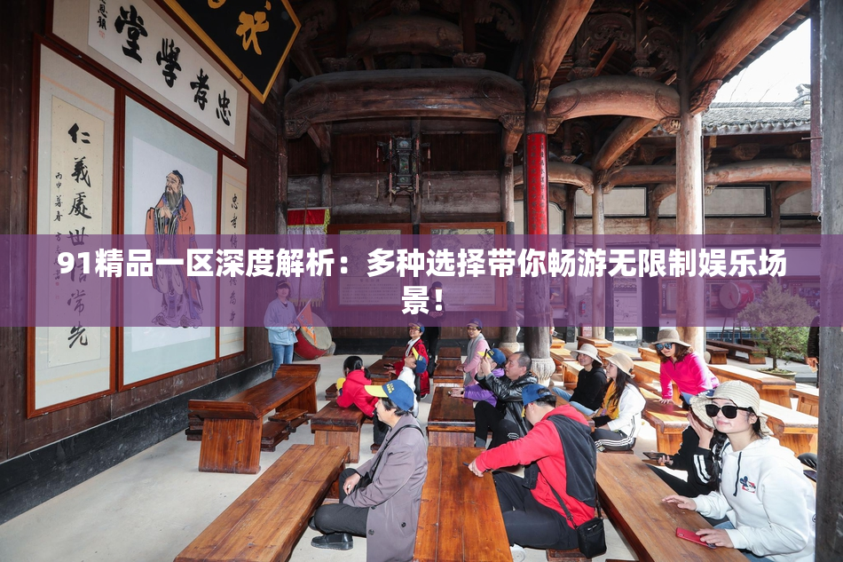 91精品一区深度解析：多种选择带你畅游无限制娱乐场景！