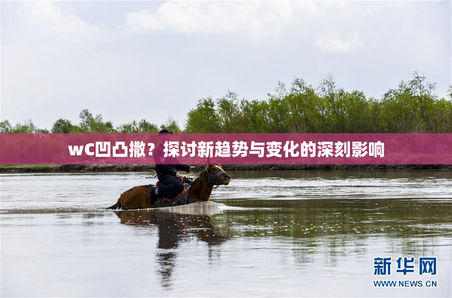 wC凹凸撒？探讨新趋势与变化的深刻影响