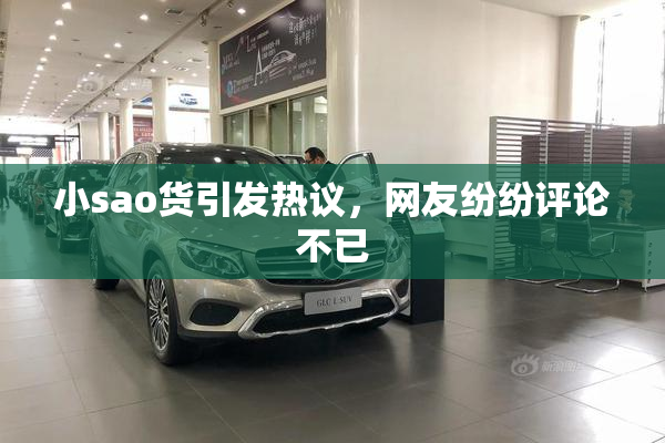 小sao货引发热议，网友纷纷评论不已