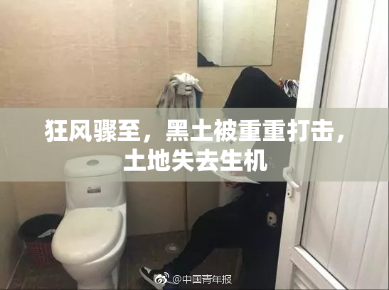 狂风骤至，黑土被重重打击，土地失去生机
