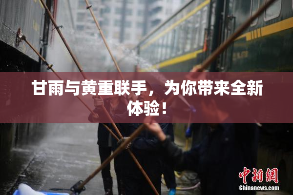 甘雨与黄重联手，为你带来全新体验！