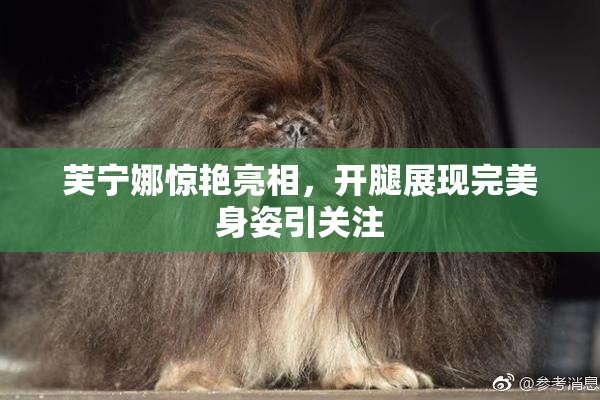 芙宁娜惊艳亮相，开腿展现完美身姿引关注