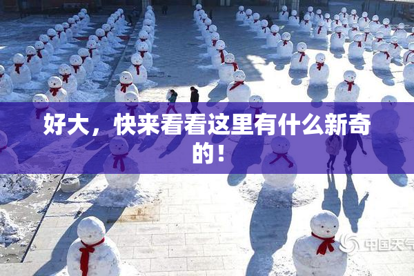 好大，快来看看这里有什么新奇的！