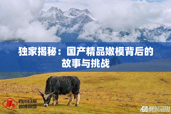 独家揭秘：国产精品嫩模背后的故事与挑战