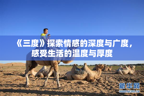 《三度》探索情感的深度与广度，感受生活的温度与厚度
