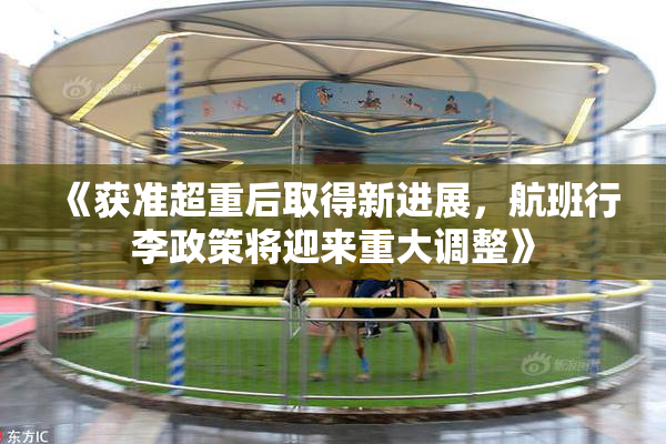 《获准超重后取得新进展，航班行李政策将迎来重大调整》