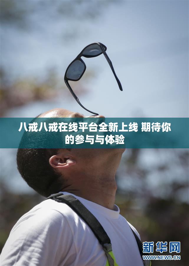 八戒八戒在线平台全新上线 期待你的参与与体验