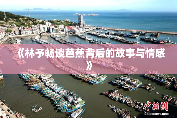 《林予畅谈芭蕉背后的故事与情感》