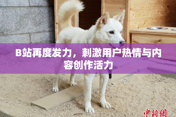 B站再度发力，刺激用户热情与内容创作活力