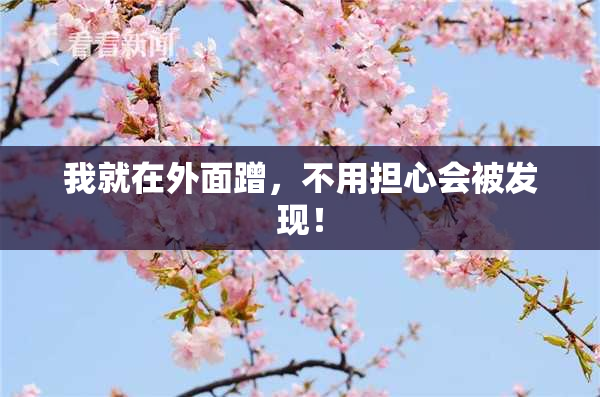 我就在外面蹭，不用担心会被发现！
