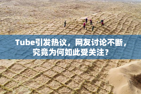 Tube引发热议，网友讨论不断，究竟为何如此受关注？