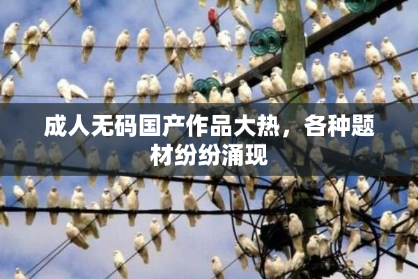 成人无码国产作品大热，各种题材纷纷涌现