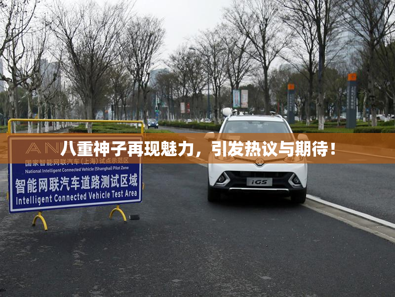 八重神子再现魅力，引发热议与期待！