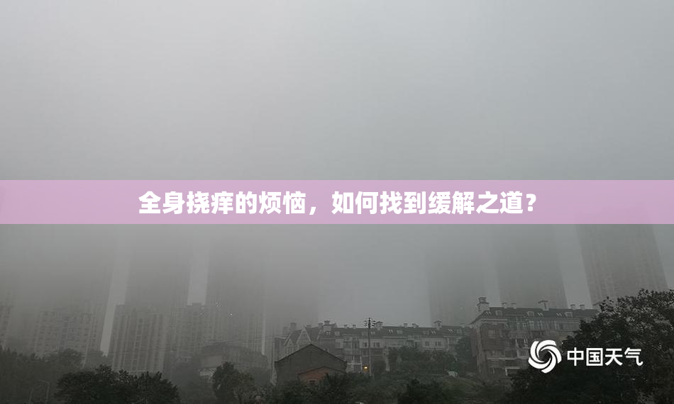 全身挠痒的烦恼，如何找到缓解之道？