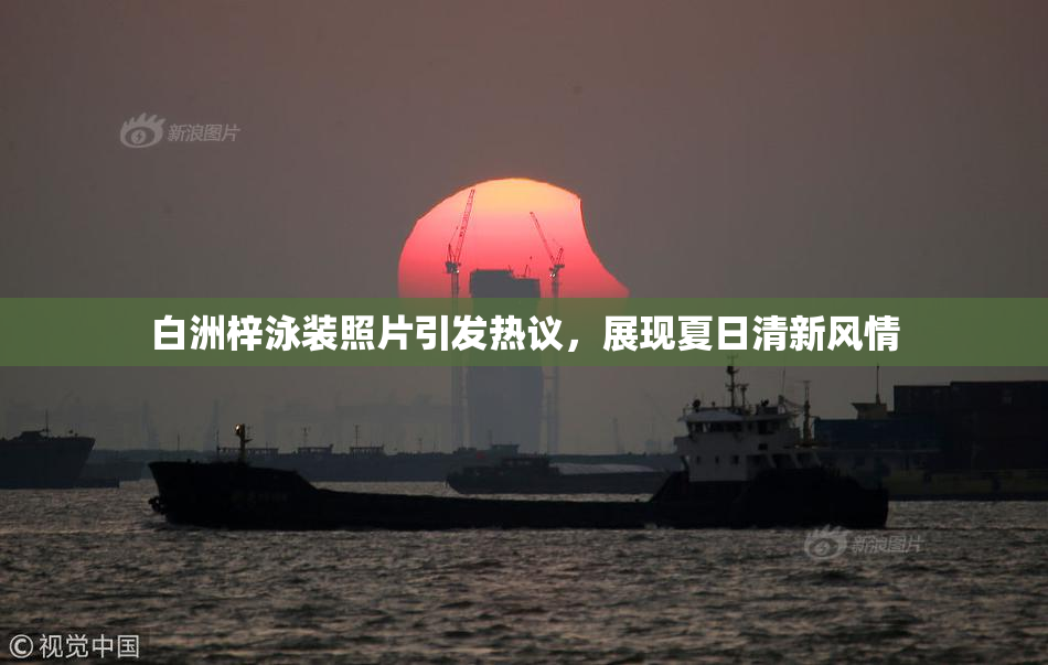 白洲梓泳装照片引发热议，展现夏日清新风情