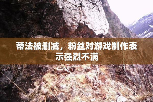 蒂法被删减，粉丝对游戏制作表示强烈不满