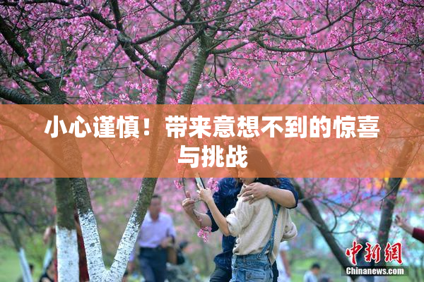 小心谨慎！带来意想不到的惊喜与挑战