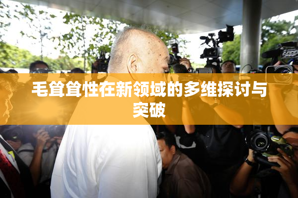 毛耸耸性在新领域的多维探讨与突破