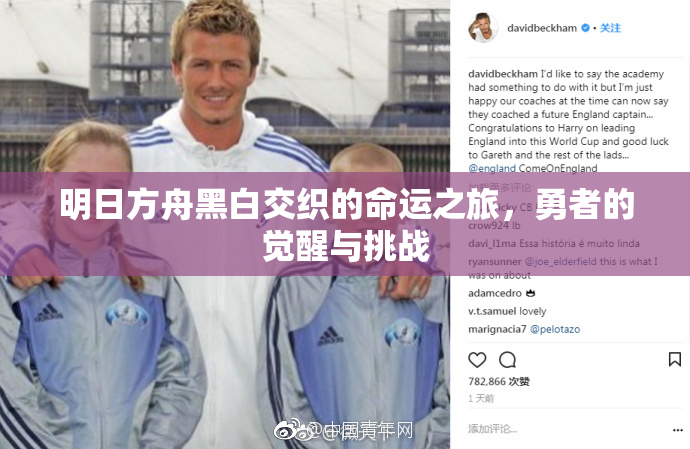明日方舟黑白交织的命运之旅，勇者的觉醒与挑战