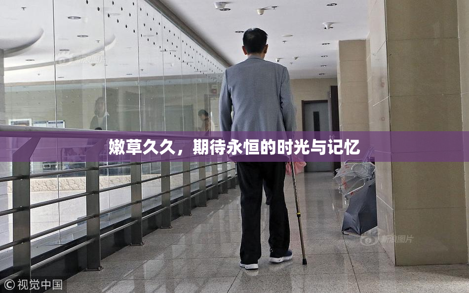 嫩草久久，期待永恒的时光与记忆