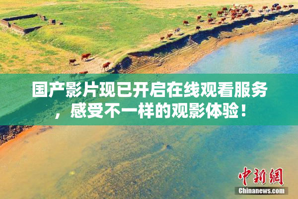 国产影片现已开启在线观看服务，感受不一样的观影体验！