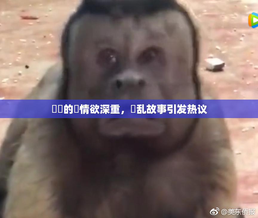 妺妺的泬情欲深重，婬乱故事引发热议