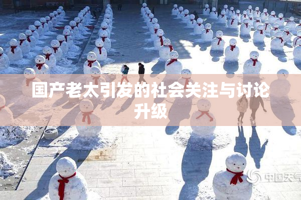 国产老太引发的社会关注与讨论升级