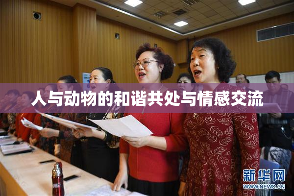 人与动物的和谐共处与情感交流