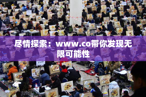 尽情探索：www.co带你发现无限可能性