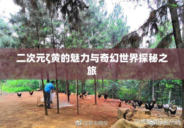 二次元ζ黄的魅力与奇幻世界探秘之旅
