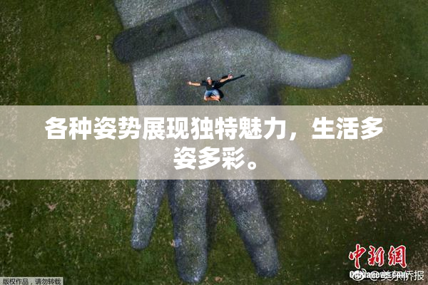 各种姿势展现独特魅力，生活多姿多彩。