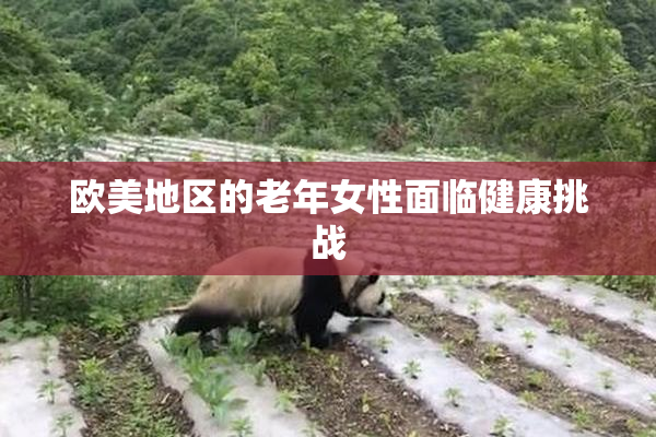 欧美地区的老年女性面临健康挑战