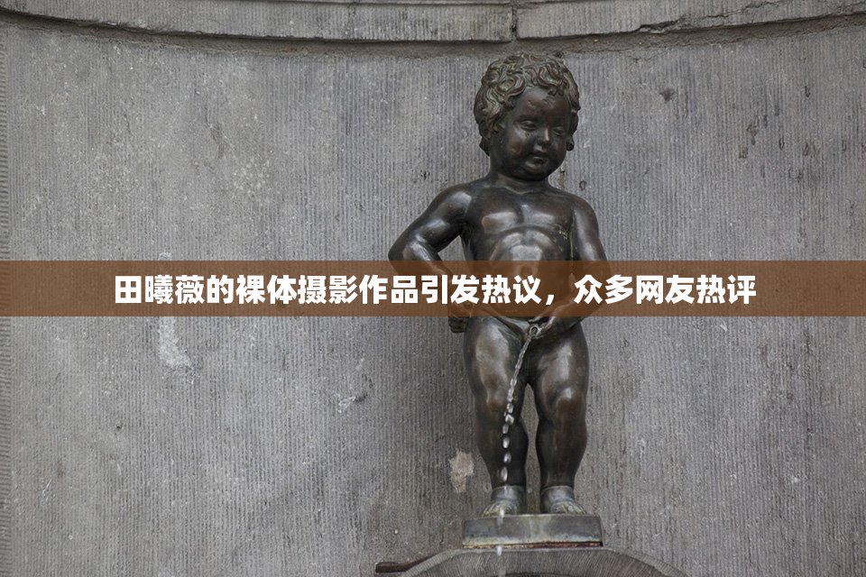 田曦薇的裸体摄影作品引发热议，众多网友热评