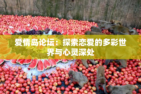 爱情岛论坛：探索恋爱的多彩世界与心灵深处