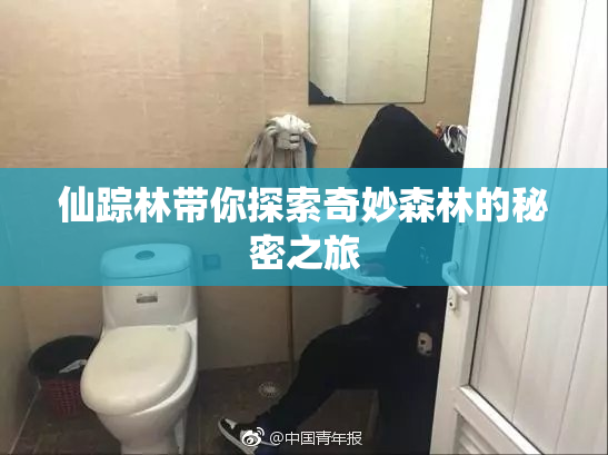 仙踪林带你探索奇妙森林的秘密之旅