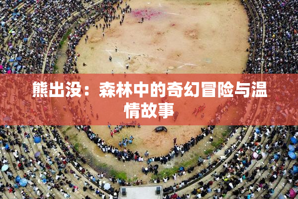 熊出没：森林中的奇幻冒险与温情故事