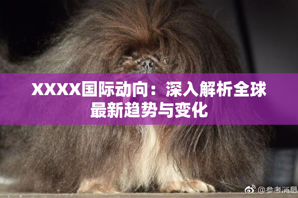 XXXX国际动向：深入解析全球最新趋势与变化