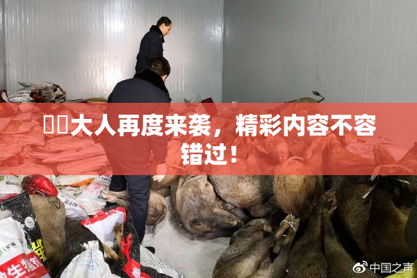 芃芃大人再度来袭，精彩内容不容错过！