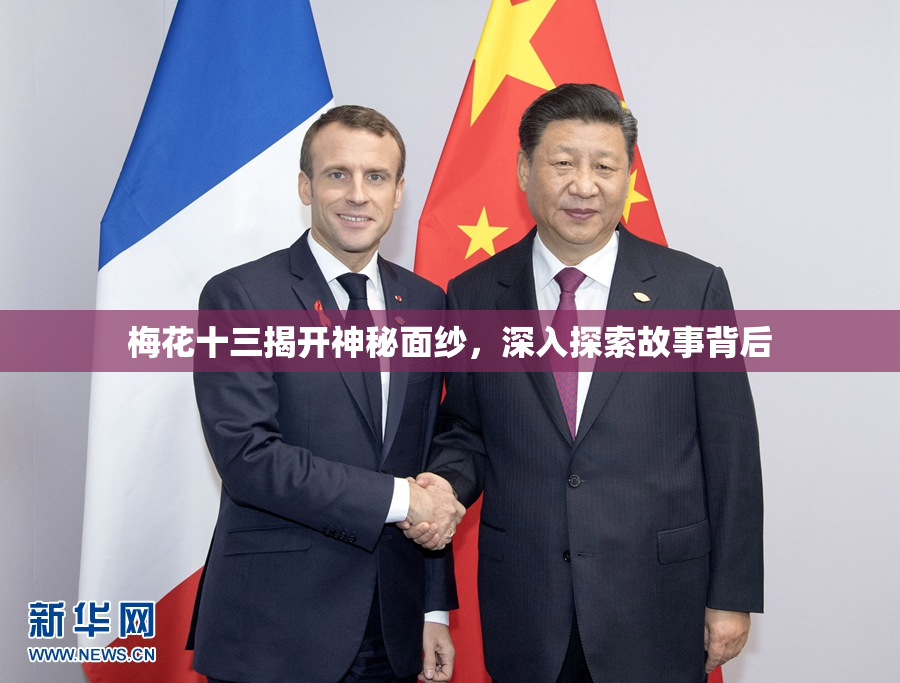 梅花十三揭开神秘面纱，深入探索故事背后